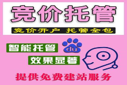 某电商平台的SEM策略与效果展示